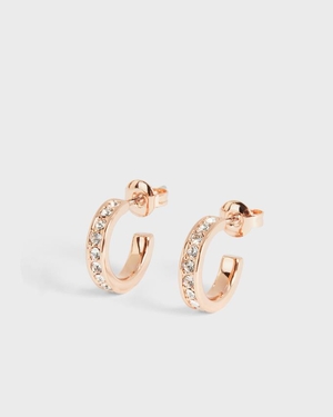 Boucles d'Oreilles Ted Baker Nano Hoop Huggie Rose Doré Femme | UYI-33242821